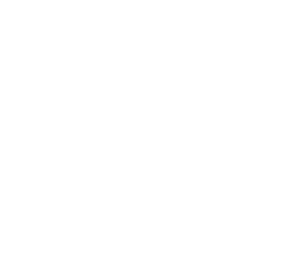Mind Vault Free Shipping